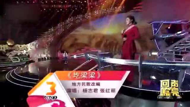 杨志君演唱《圪梁梁》,一口气单曲循环整个晚上,真是百听不厌啊