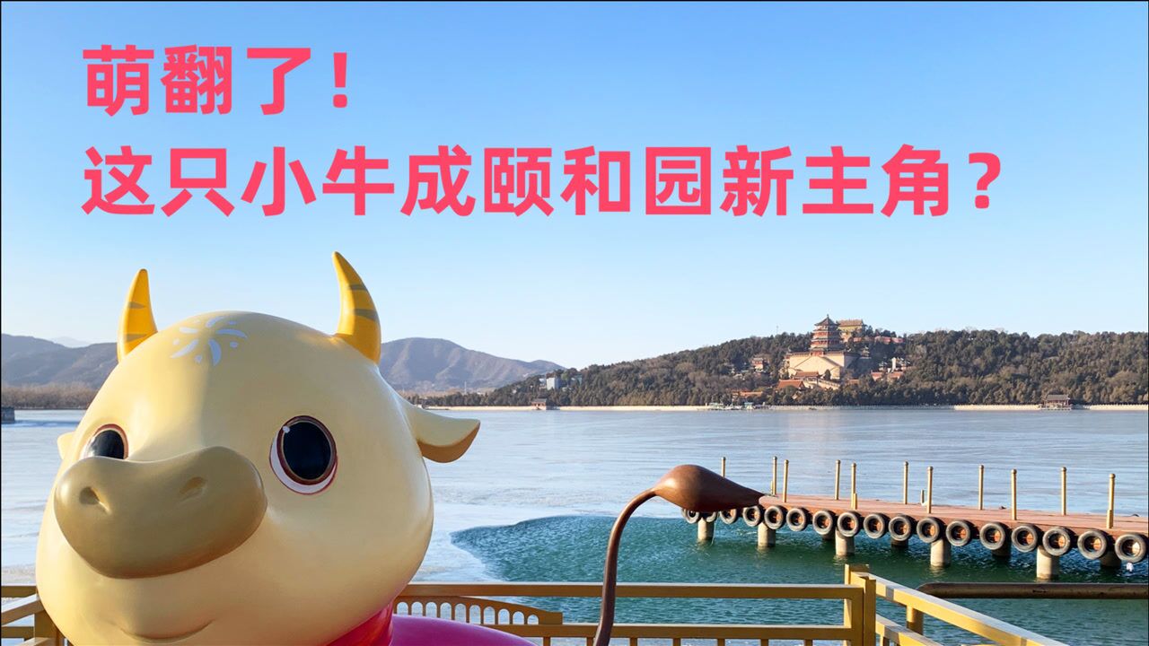 春晚可爱版小牛现身颐和园,春节免门票?北京这些公园确定不收费