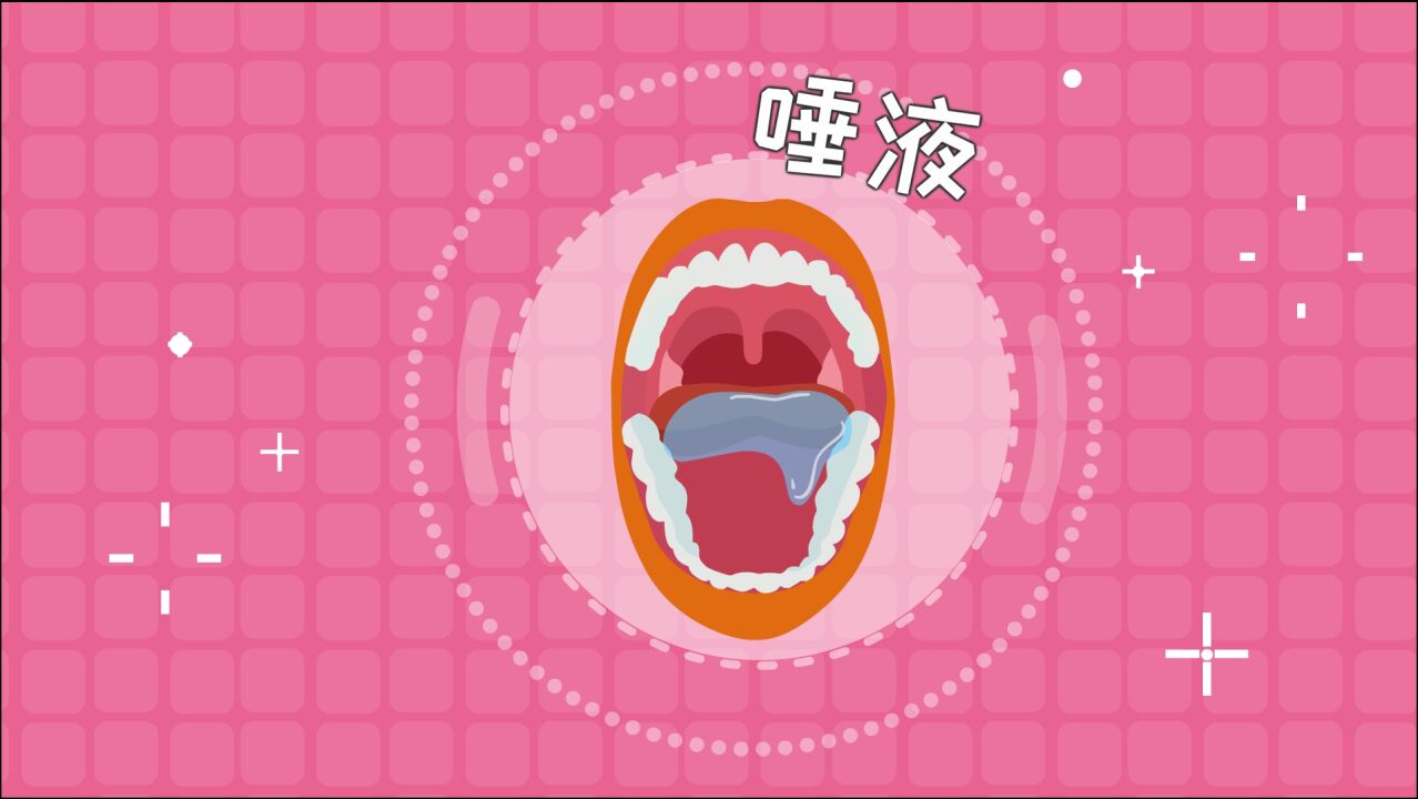 我们的嘴巴里时常有唾液，它是怎么形成的_高清