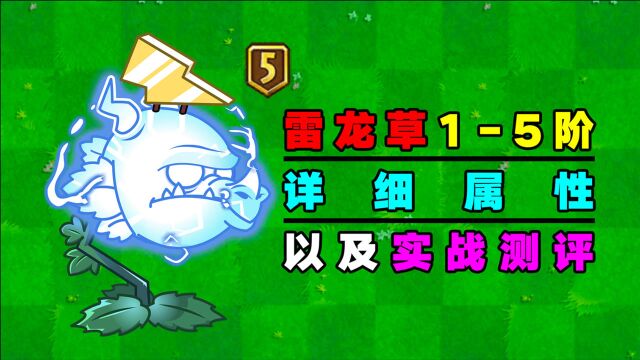 PVZ玩家必须要知道的知识点:15阶雷龙草讲解测评!