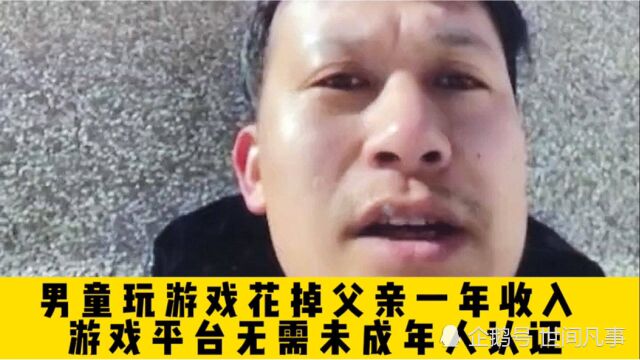 男童玩游戏花掉父亲一年收入,男子哭诉游戏平台不需要未成年认证