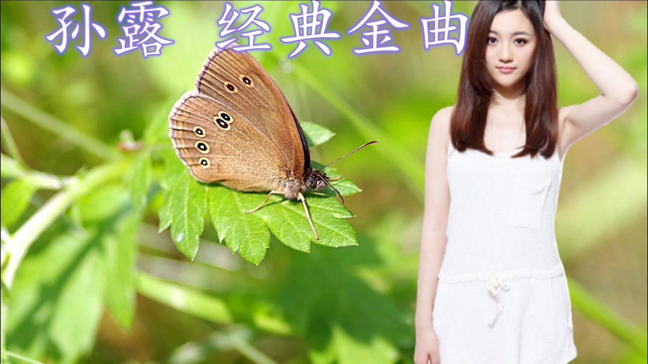 经典老歌《孙露-习惯寂寞》词曲入心扉,听哭多少人