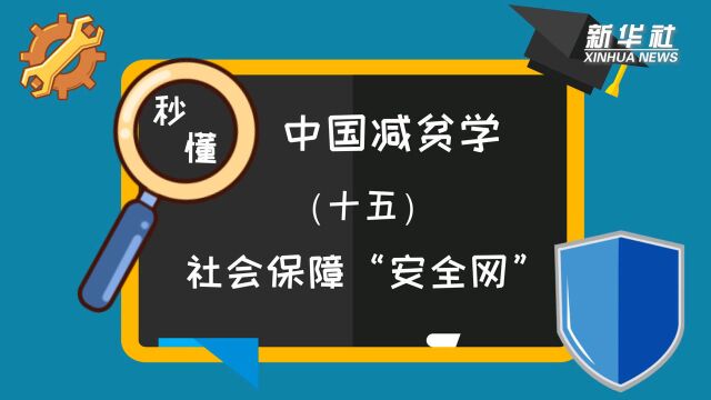 秒懂中国减贫学|名词解释:社会保障“安全网”