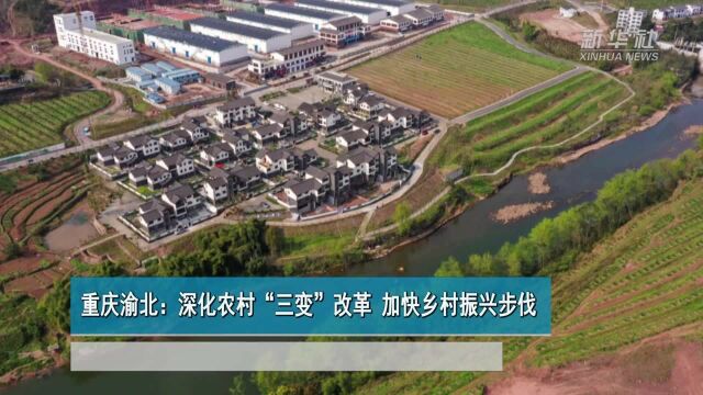 重庆渝北:深化农村“三变”改革 加快乡村振兴步伐