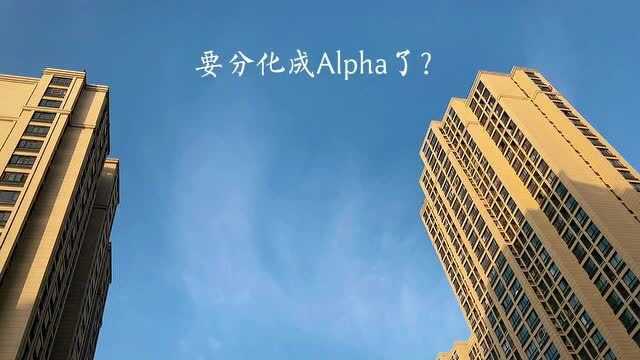 小段啊,Alpha是不可能Alpha的~快乖乖去路星辞那