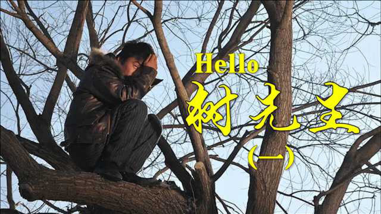 hello树先生树哥代表的只是守村人的角色吗