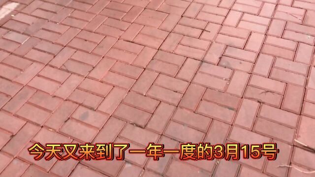 大连市甘井子区乐都汇偶遇大型春风行动招聘会活动现场