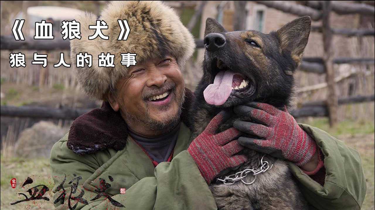 血狼犬