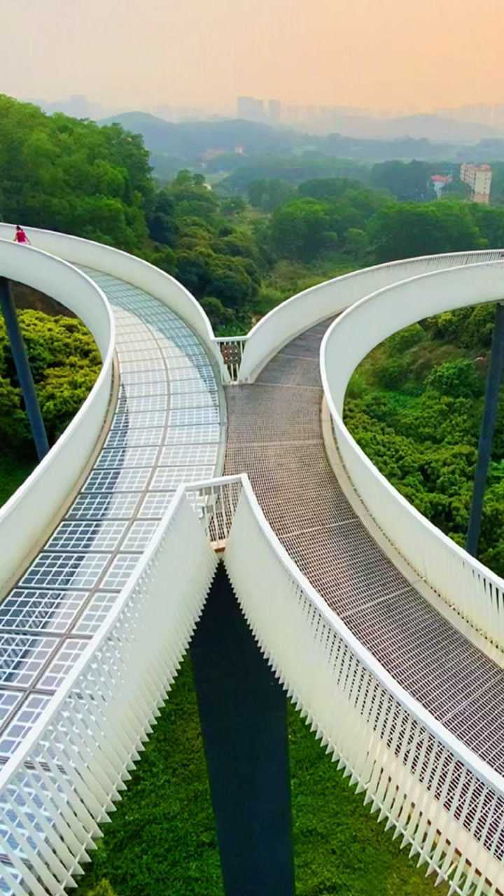 深圳光明大顶岭公园玻璃栈道