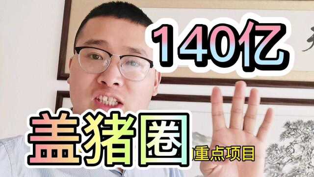 140亿盖猪圈