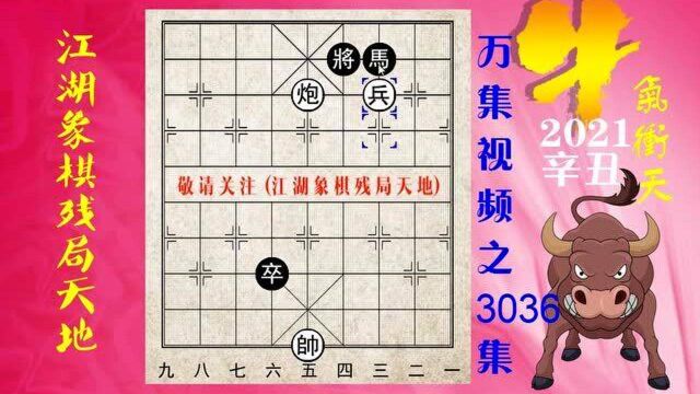 3036控制技法,象棋定式