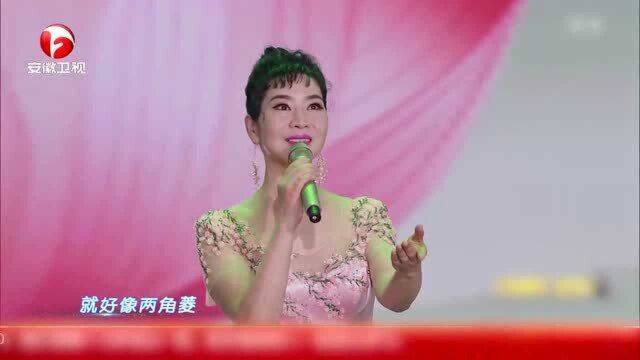 这是我听过最好听版《采红菱》,听完一遍循环一春节!