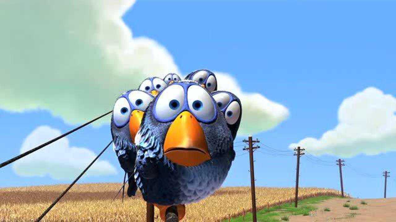 奥斯卡最佳动画短片《鸟!鸟!鸟》