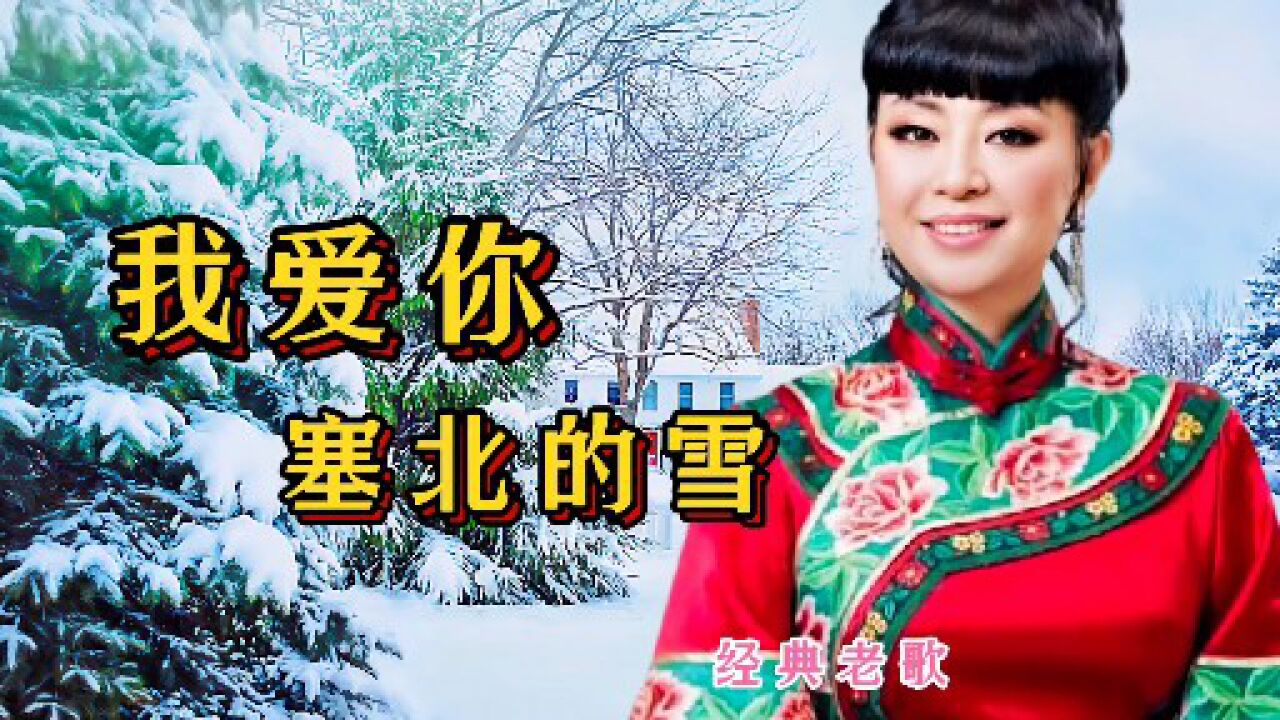 经典歌曲《我爱你塞北的雪》殷秀梅原唱得大气磅礴,好听醉了_腾讯视频