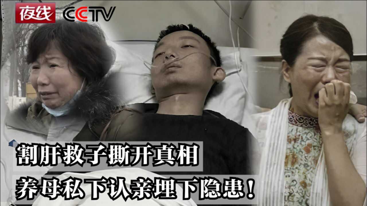 央视夜线28年错过的人生上割肝救子撕开真相养母私下认亲埋下隐患