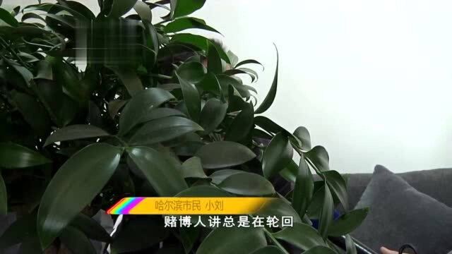 赢只是过程,输才是结果.男子沉迷网络赌博半年输掉一百万!