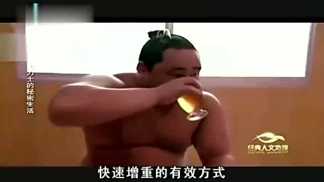 相扑运动员为了增肥,专门吃一种特别的料理,被称为“相扑火锅”