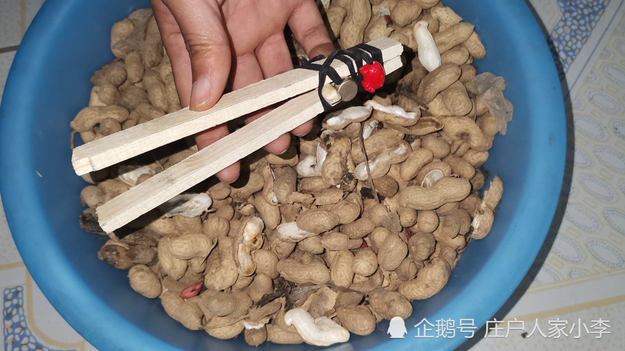 小伙自制剥花生种神器,连剥几天手都不疼,一天轻松剥上百斤