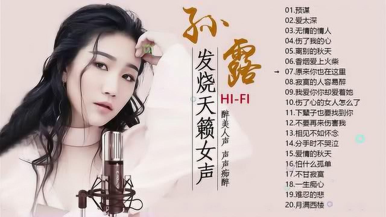 孙露专辑 燃烧寂寞·伤透女人心 车载流行发烧歌曲_腾讯视频