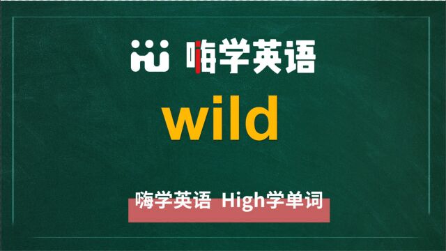 英语单词wild讲师讲解,动动脑袋想一想,它是什么意思,可以怎么使用