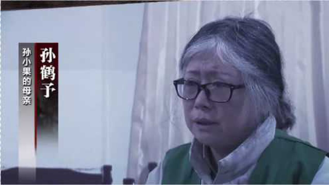 孙小果被执行死刑后69岁的母亲被判20年曾屡次为他脱罪