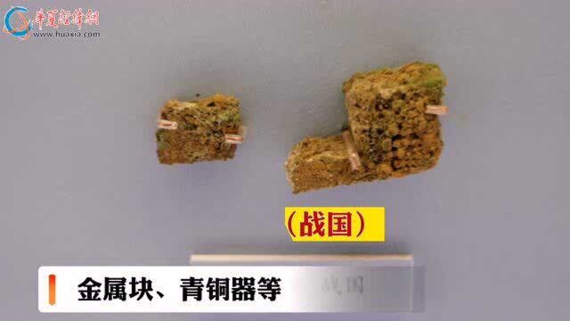 走进中国古代钱币展 带您认识古代钱币——货贝