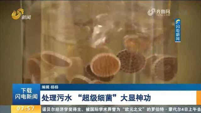 以污水为食!“超级细菌”显神功,每年约省38万美元污水处理费用