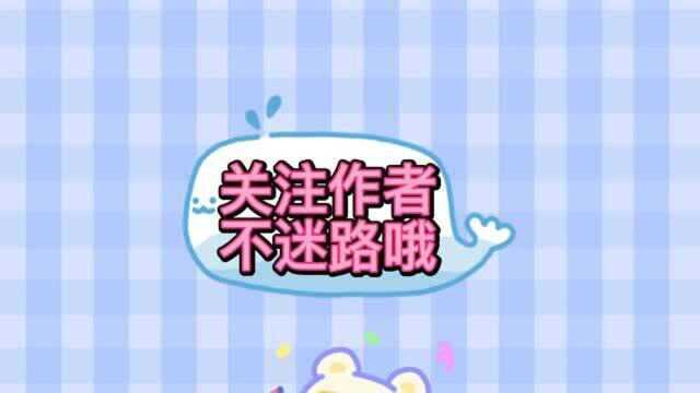 寿司制作教学视频