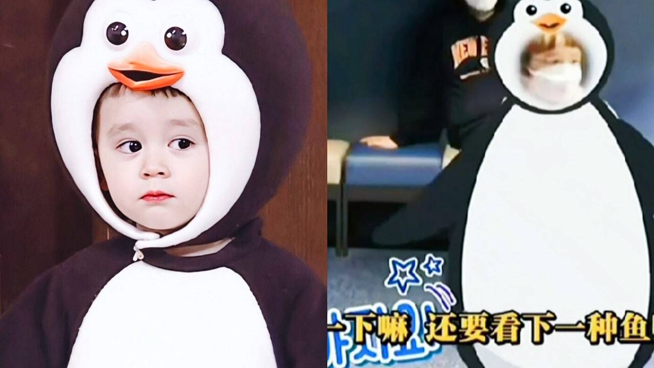 本特利:我就是企鹅呀!企鹅本鹅