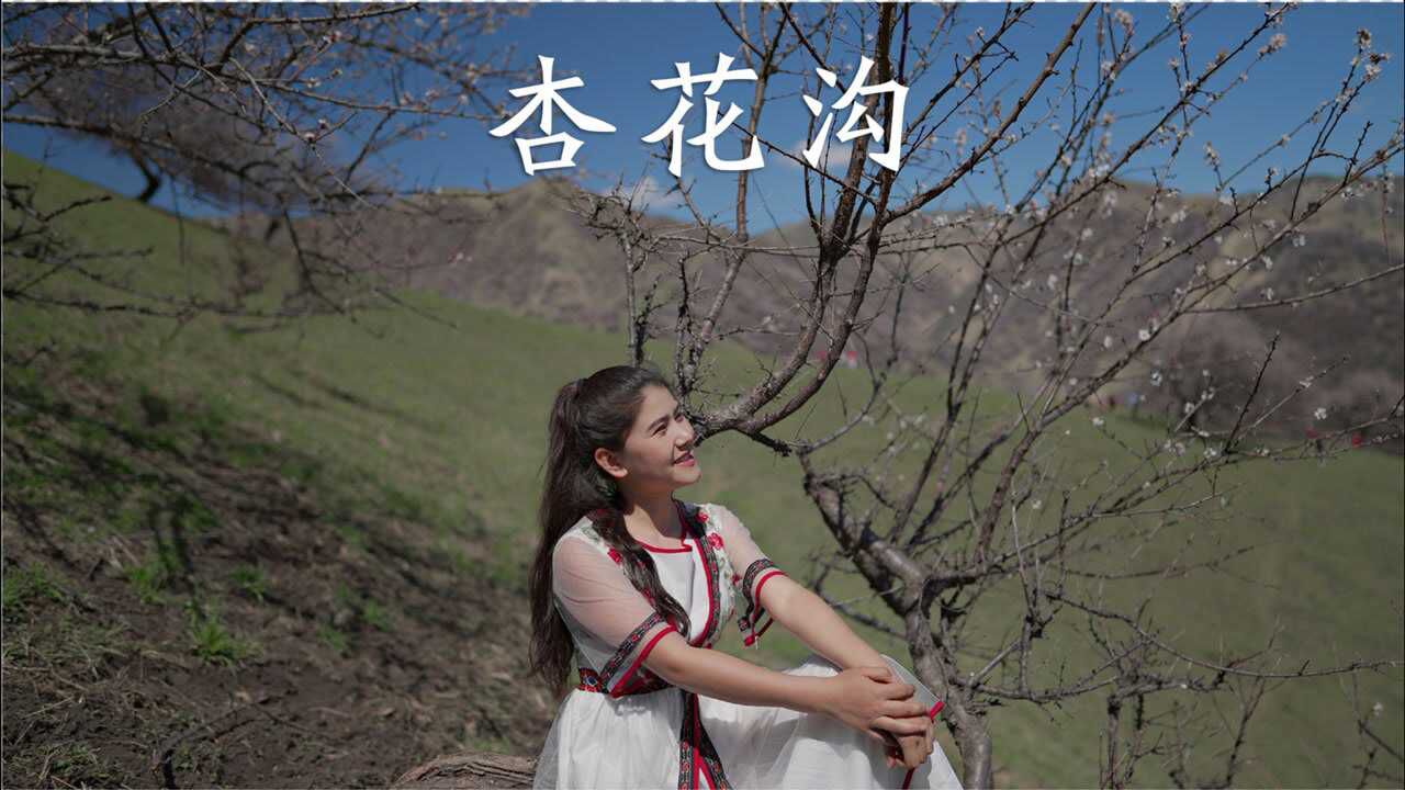 古丽可可托海牧羊人养蜂女的那拉提杏花到底有多美