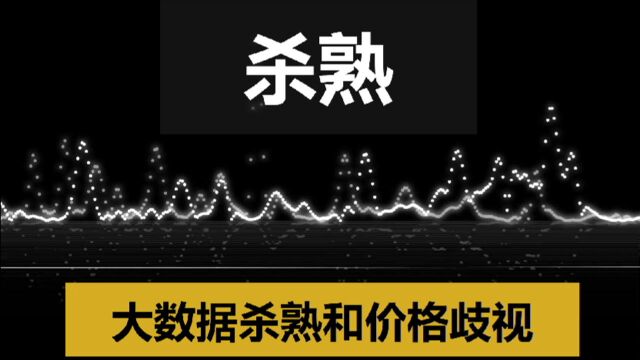 【实操篇】大数据杀熟和价格歧视助你更好的定价