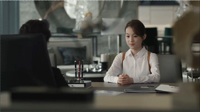 《黑白禁区》第24集01:淦小暖面试cr集团,陆明松趁机试探小暖,没想到