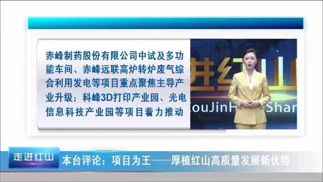 项目为王——厚植红山高质量发展新优势