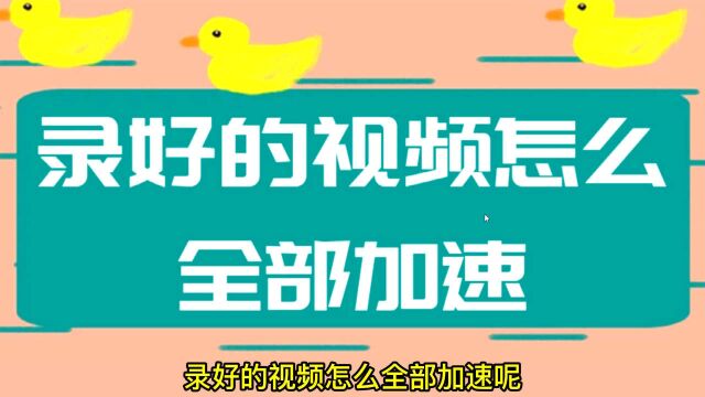 视频调速度软件,怎样批量改变视频播放速度