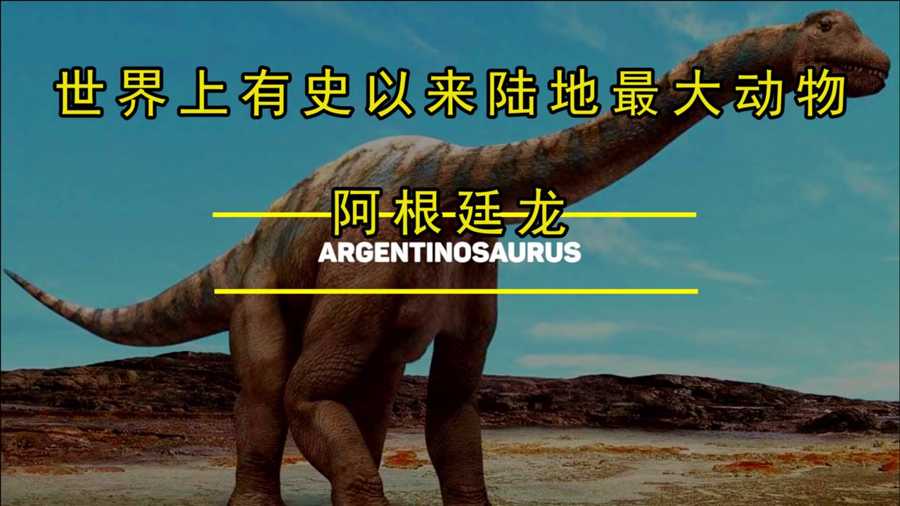 8世界上最大的陆地动物,比霸王龙还大6倍,史前巨兽"阿根廷龙"