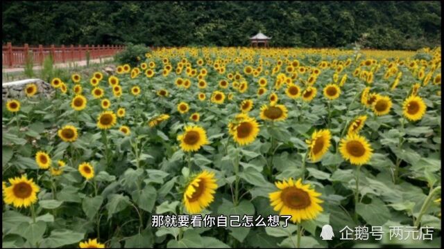 永州,柳宗元,小石潭记,柳子庙,零陵古城,文化底蕴深,景色美