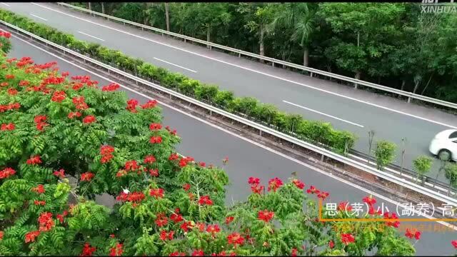 【沿着高速看中国】大道纵横,看见云岭好风光