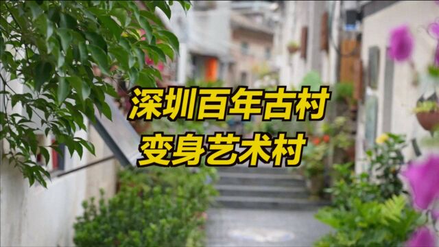 深圳百年古村变身艺术村