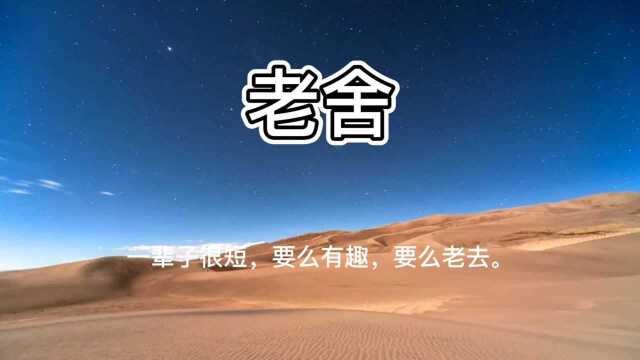 老舍:“一辈子很短,要么有趣,要么死去.”