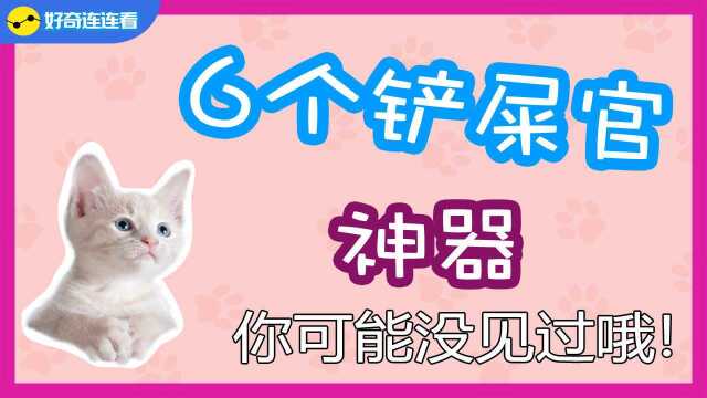 【6件铲屎官神器】养猫宠物用品,你可能没见过哦!