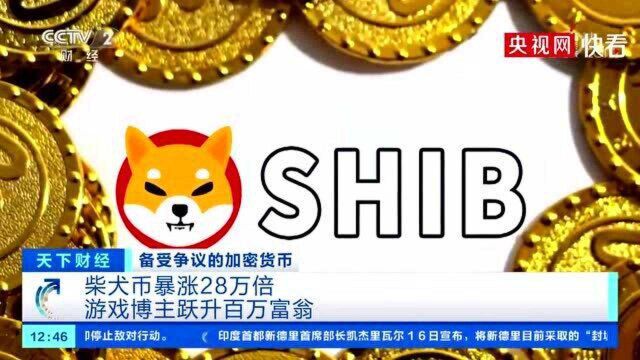 SHIB半年涨幅超28万倍