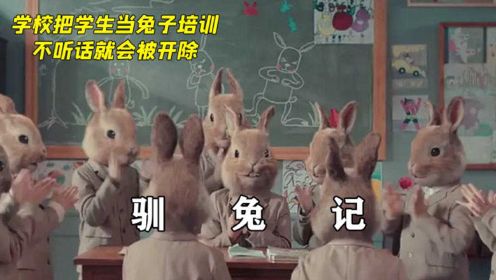 学校把学生当兔子培养，不听话就会被开除，极具讽刺的童话故事短片《驯兔记》
