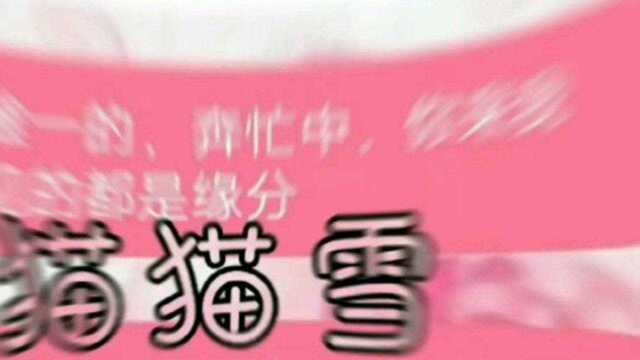 520特别篇