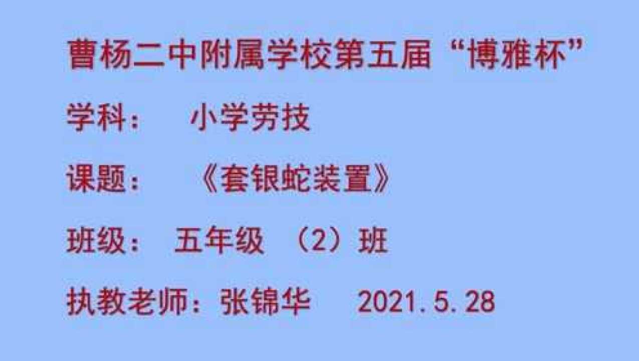 套银蛇装置张锦华