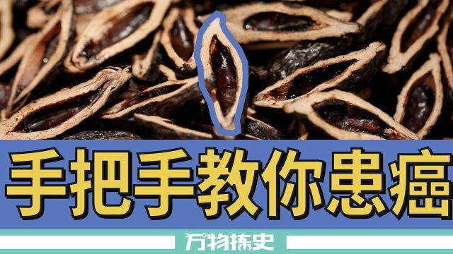 长年嚼槟榔才致癌?用不了那么久#“知识抢先知”征稿大赛#