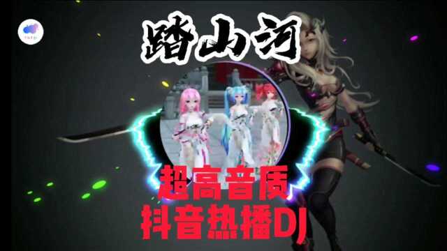 踏山河(超高音质抖音热播dj)