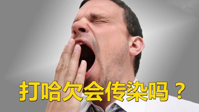 为什么打哈欠会被传染?原来是有科学依据的,看完涨知识了!#“知识抢先知”征稿大赛#