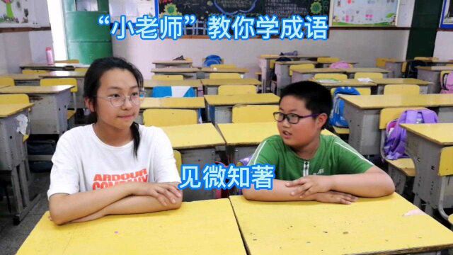 “小老师”教你学成语,见微知著