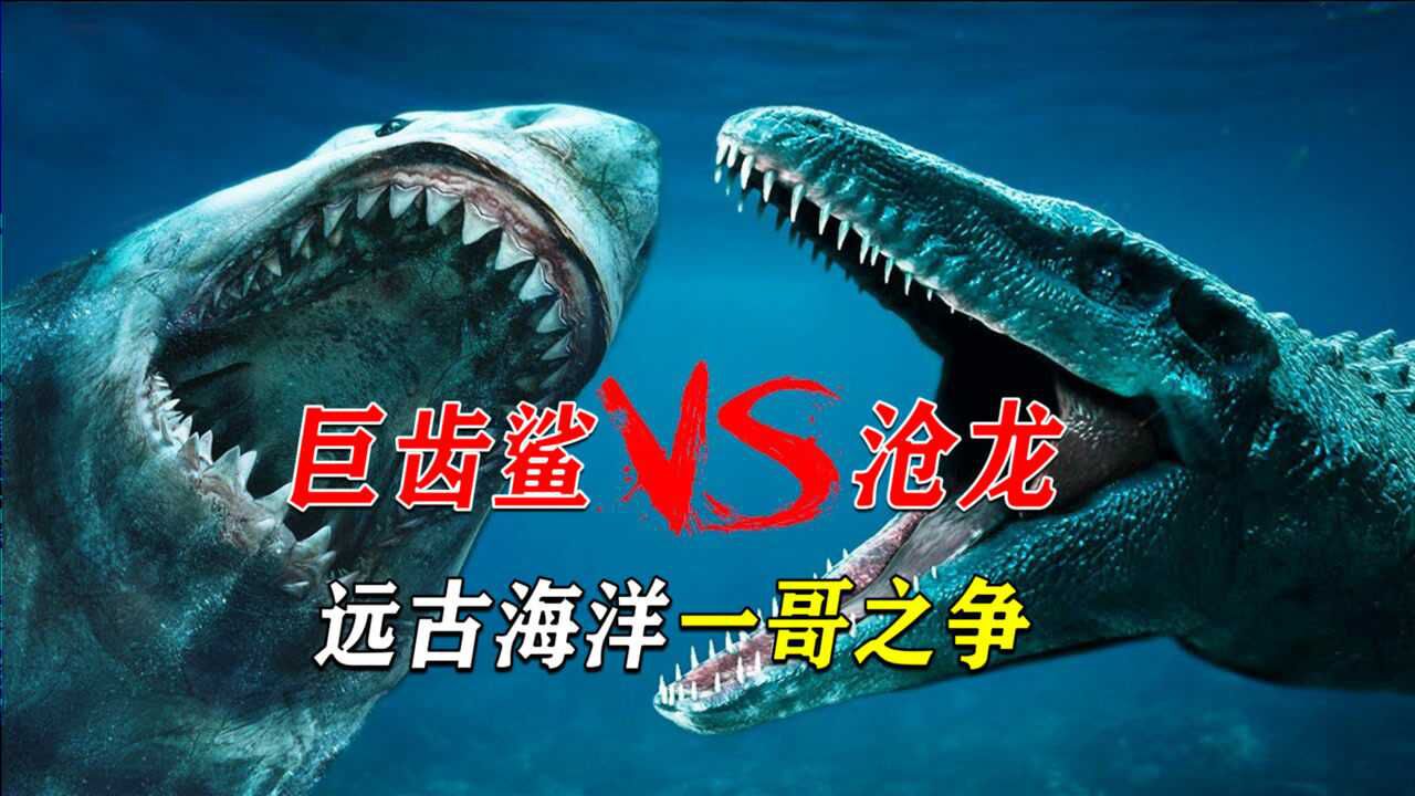 巨齿鲨大战沧龙,究竟谁才是远古海洋一哥?胜负难以预料