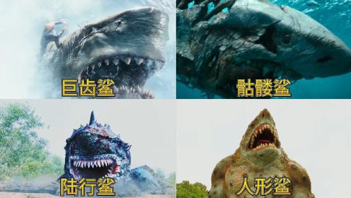电影里的变异鲨鱼，鲨鱼在陆地跑步，人形鲨与忍者大战